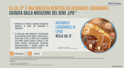 Immagine di LA LAL-D È UNA MALATTIA GENETICA DA ACCUMULO LISOSOMIALE CAUSATA DALLA MUTAZIONE DEL GENE LIPA