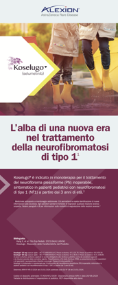 Immagine di Roll-Up Istituzionale Koselugo